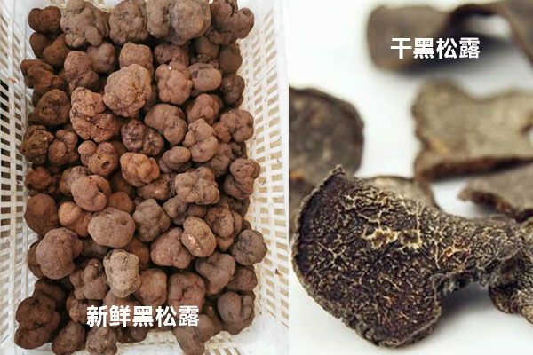 干的黑松露好還是新鮮的黑松露好