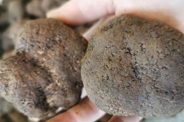 黑松露瑪咖酒的方法