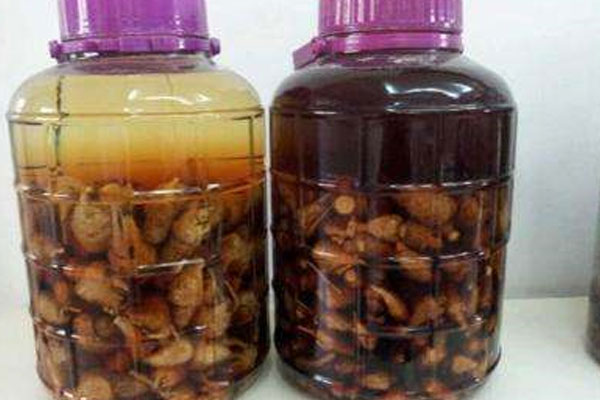 瑪咖好還是黑松露好