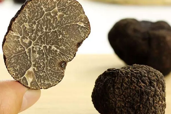 黑松露和什么一起燉湯才好吃營(yíng)養(yǎng)