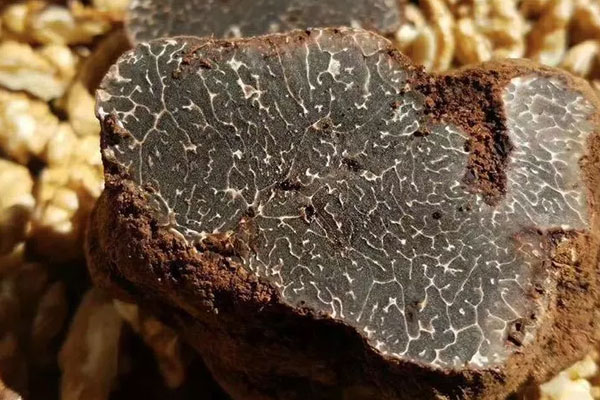 黑松露燉湯什么時(shí)候放松露最好