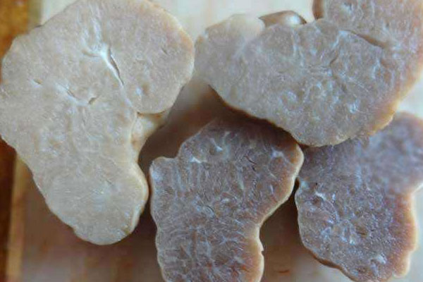 白松露喜歡長在什么環(huán)境下