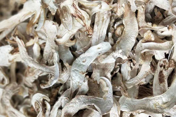 干松茸老年人能長(zhǎng)期吃嗎