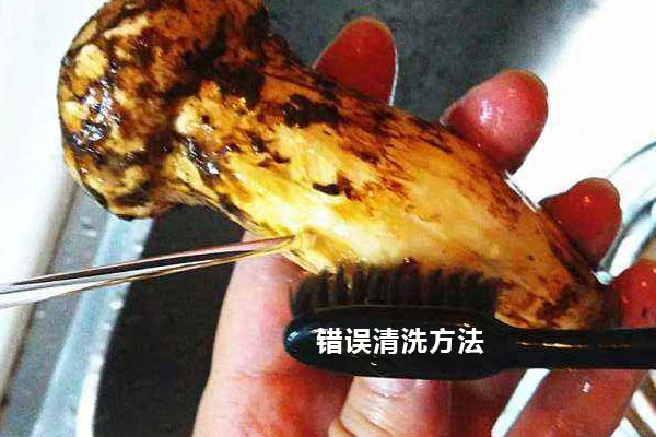 松茸泡酒前需要清洗嗎