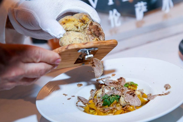 哪里出產(chǎn)的白松露最好