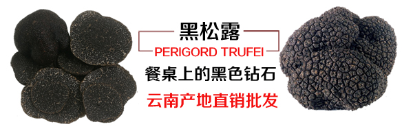 黑松露多少錢一斤 黑松露多少錢一斤