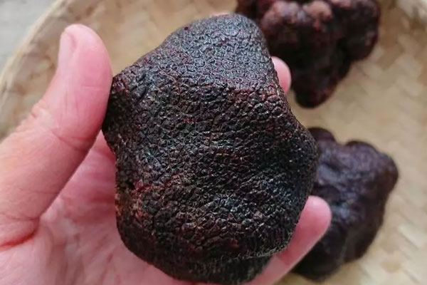 黑松露泡酒有壯陽的功效嗎