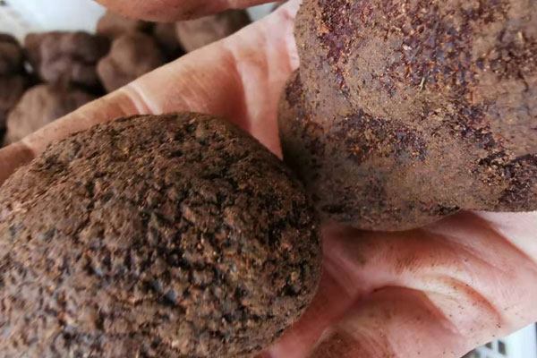 男士吃黑松露有哪些好處