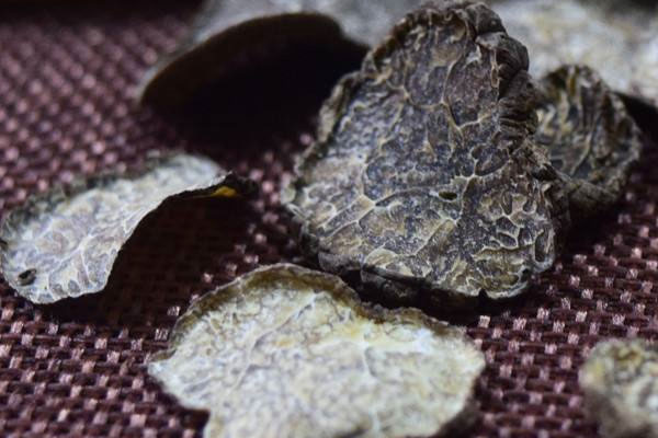 干黑松露片要泡多久