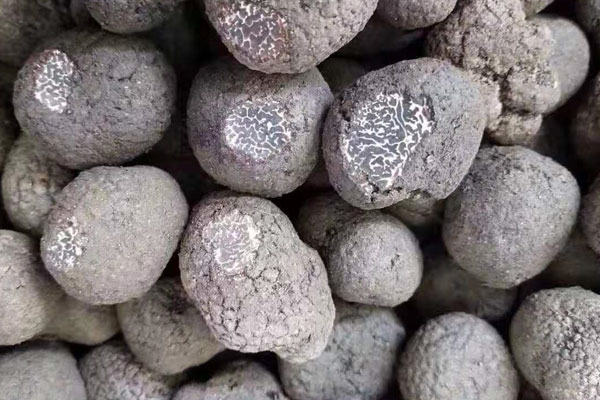 女人喝黑松露泡酒會不會有副作用 女人喝黑松露泡酒會不會有副作用