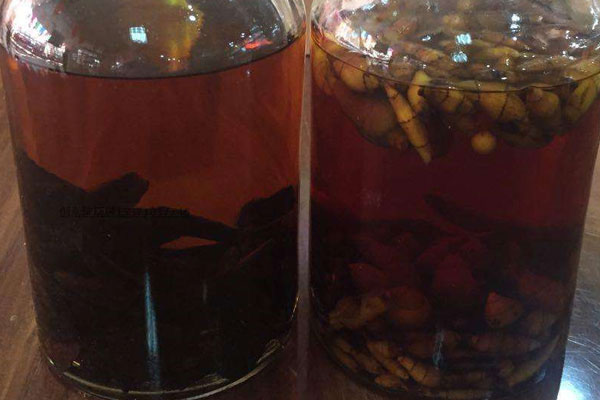 女人可以喝黑松露泡酒嗎