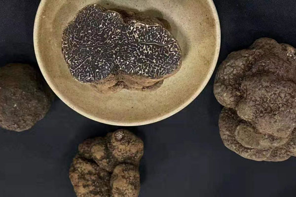 中國松露與法國松露有哪些區(qū)別