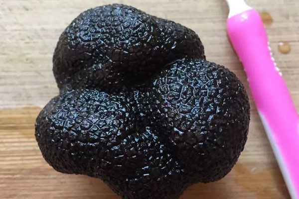 新鮮黑松露保存前要清洗嗎