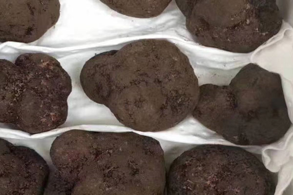 黑松露市場(chǎng)價(jià)格受哪些因素影響