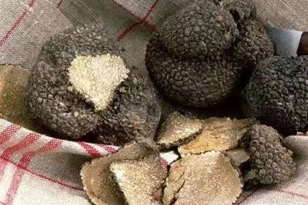 黑松露煲湯什么時(shí)候好比較好