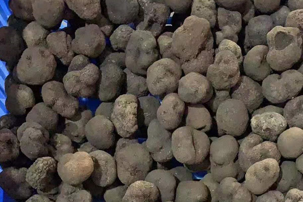 常吃黑松露的好處