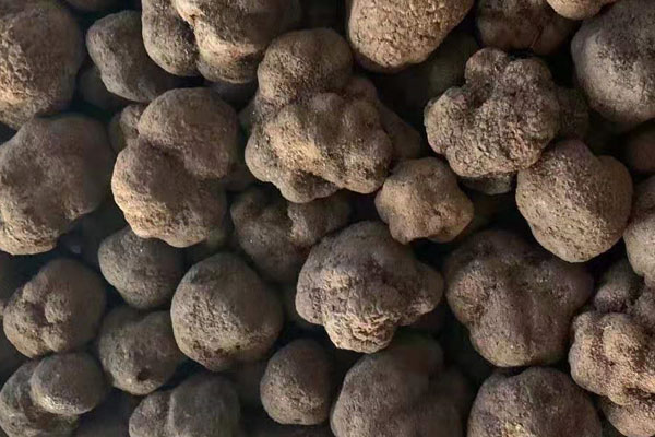 松茸和松露怎樣吃效果才最好