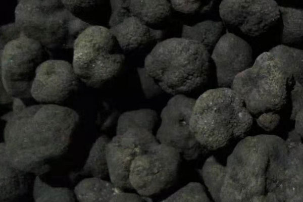 松露和松茸的功效作用有哪些