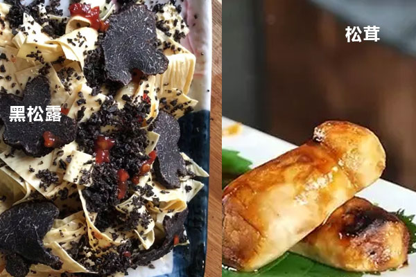 松露能和松茸一起吃嗎