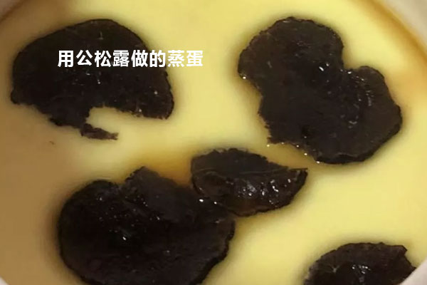 公松露營養(yǎng)價值高還是母松露營養(yǎng)價值高呢