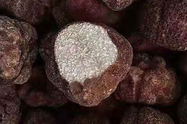 黑松露對(duì)女人有哪些好處