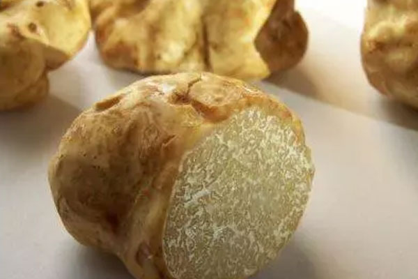 意大利的白松露怎樣吃營養(yǎng)才好