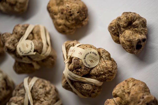 意大利白松露醬的做法