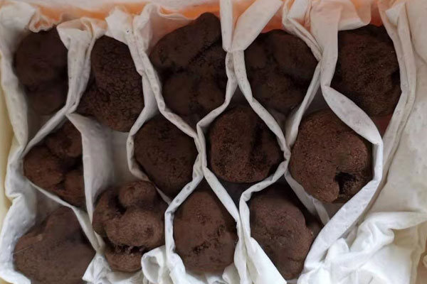 孕婦吃黑松露有哪些好處呢