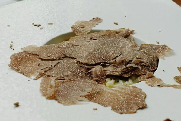 云南白松露的家常做法