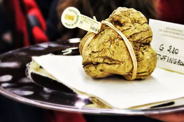 白松露可以美白養(yǎng)顏嗎