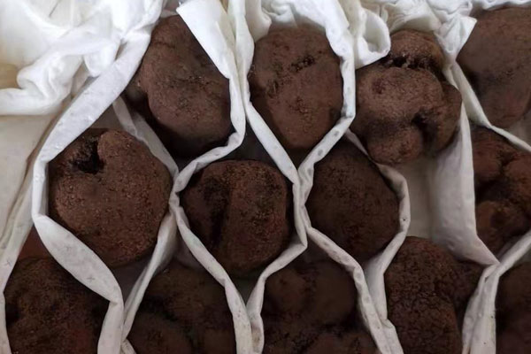 黑松露配什么藥材泡酒比較好