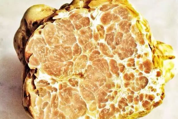 白松露油可以和哪些食物一起搭配著吃