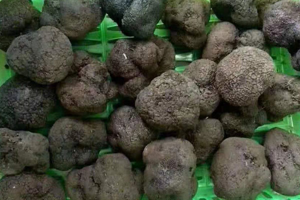 鮮蝦松露湯的營(yíng)養(yǎng)價(jià)值與功效作用