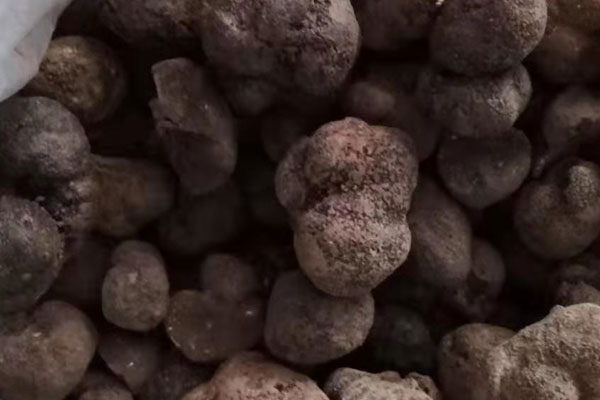 痛風(fēng)患者可以吃黑松露嗎