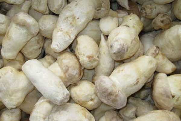 松茸切片冷凍好還是整個(gè)冷凍好