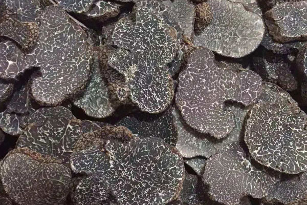 松露長什么樣子呢