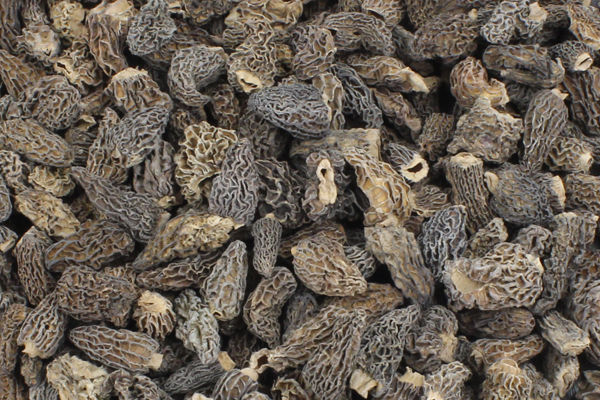 干野生羊肚菌價格