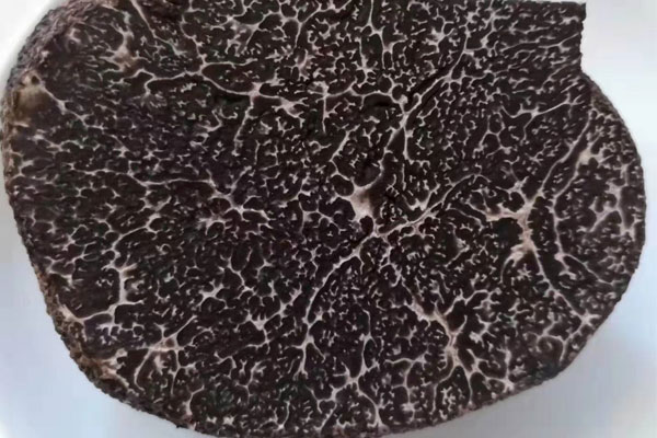 什么時候買黑松露最好