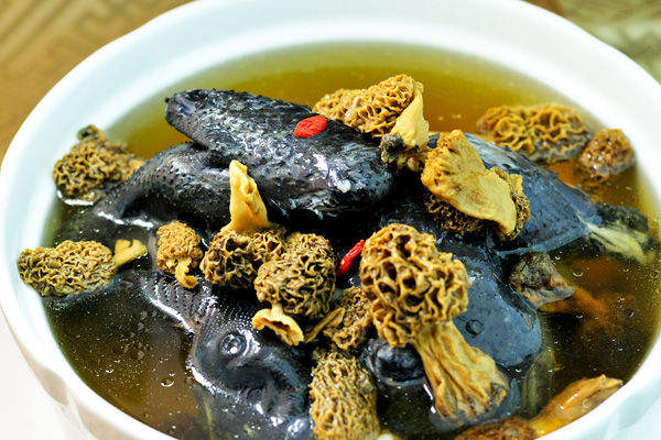 冰凍羊肚菌的做法 冰凍羊肚菌的做法