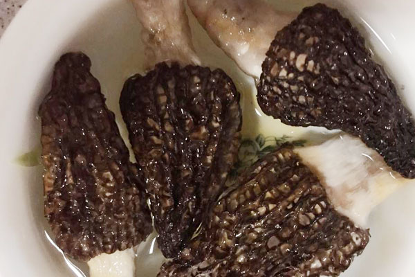 羊肚菌瘦肉湯的做法竅門