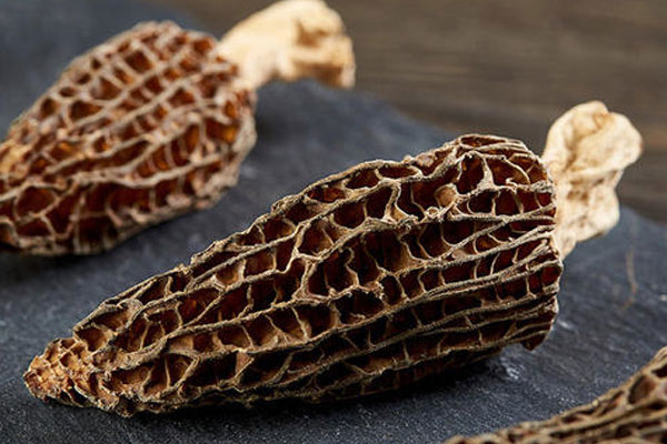 羊肚菌燉花膠的食用禁忌