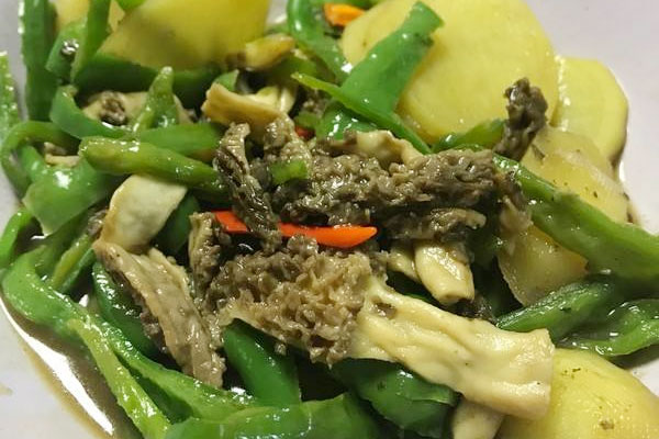 青椒炒羊肚菌的功效作用與營養(yǎng)價(jià)值