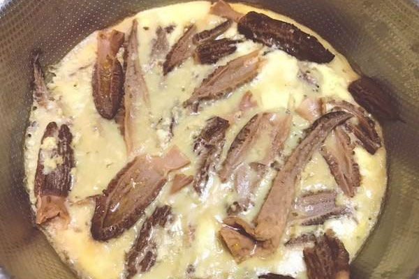 羊肚菌蒸蛋怎么做好吃