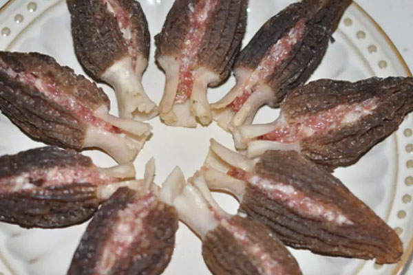 肉釀羊肚菌的做法竅門有哪些