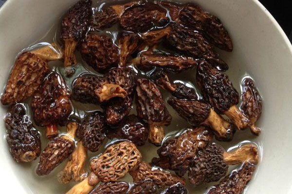 泡發(fā)干羊肚菌的技巧