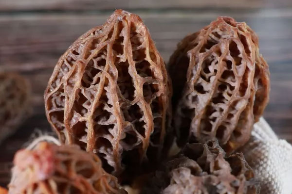 羊肚菌大的營養(yǎng)價值高還是小的營養(yǎng)價值高