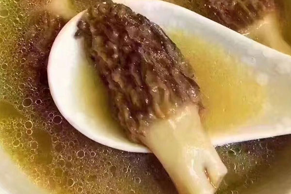 羊肚菌能和蓮藕一起煲湯嗎