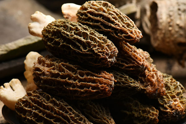 女人吃羊肚菌的好處有哪些