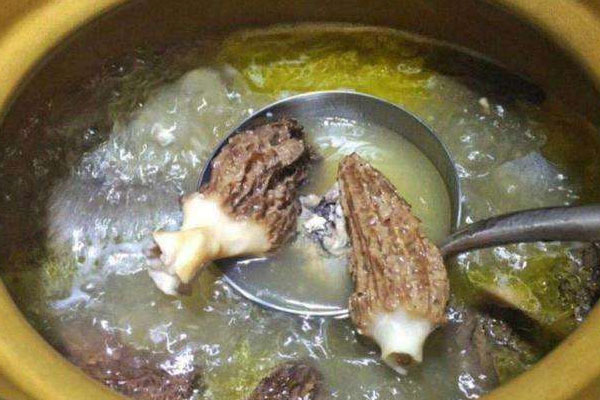 孕婦吃羊肚菌的做法推薦