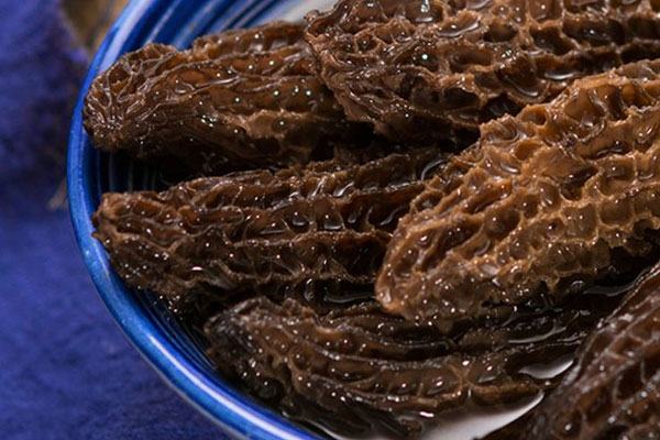 孕婦吃羊肚菌會流產(chǎn)嗎